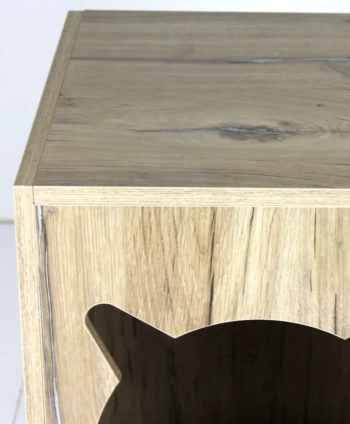 Bonn Kedi Evi - Görsel 3