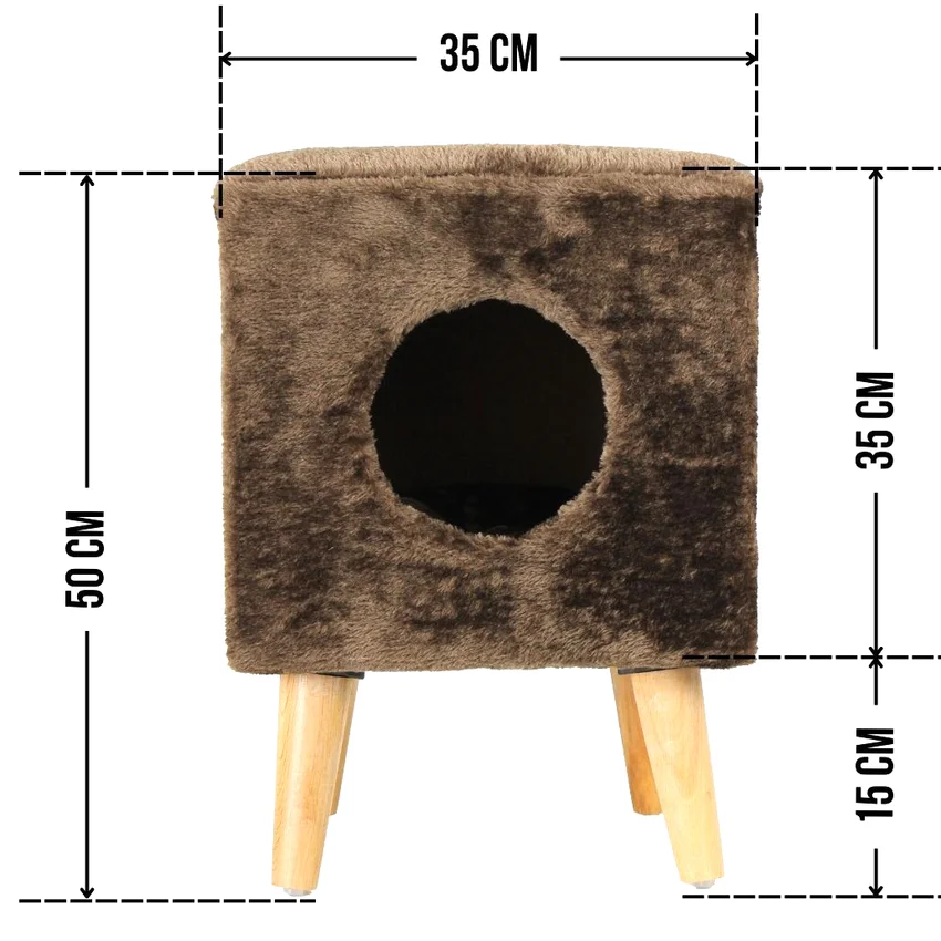 Linz Kedi Evi - Görsel 2