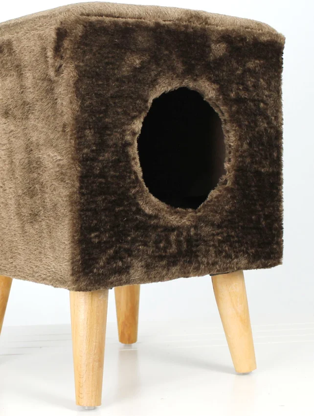 Linz Kedi Evi - Görsel 3