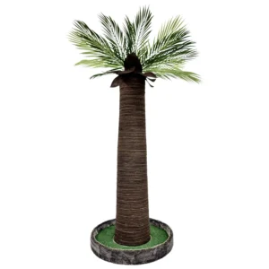 Palmiye Kedi Tırmalaması